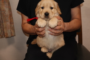 IMG_7110_コピー_コピー