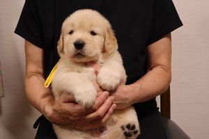 IMG_7115_コピー_コピー