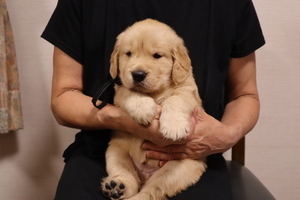 IMG_7117_コピー_コピー