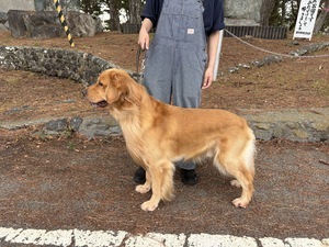IMG_1610_コピー_コピー