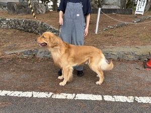 IMG_1607 - コピー_コピー